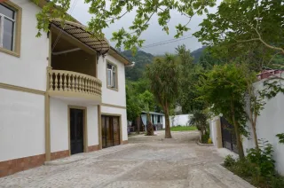 მაგული მთავარი გონიო