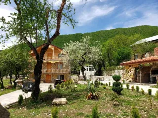 მაიმარი