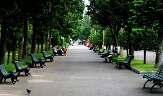 ბინა რუსთაველის გამზირზე