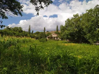 მესხეთის გული - მესხეთის გული