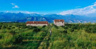 მესტვირენი