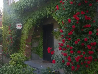 ნელის და ზაალის სასტუმრო სახლი