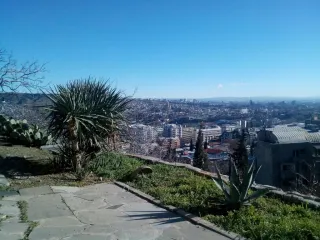 ბინა პანთეონი