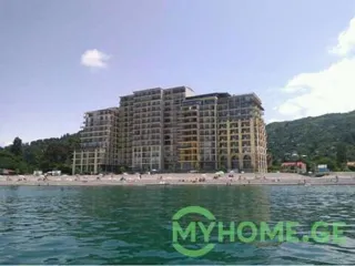 ბინა პირველწოდებული 58, გონიო