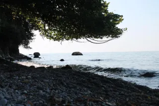 ნინა სიცოცხლე