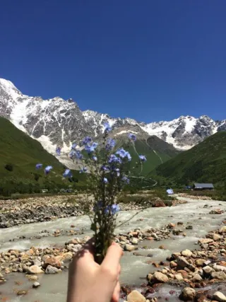 ნიჟარაძის კოშკი
