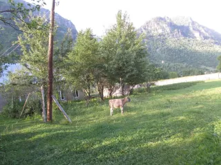 ნორას სასტუმრო სახლი