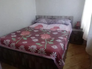 ბინა რეზი