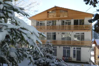 ბინა შალე