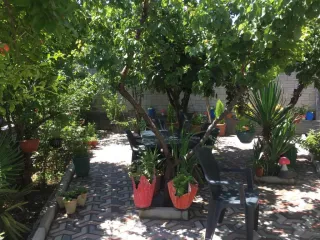 ორთაჭალის საზაფხულო სახლი