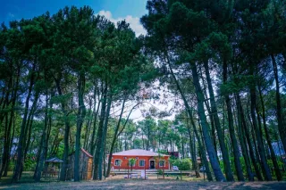 ჟანგბადის სასტუმრო