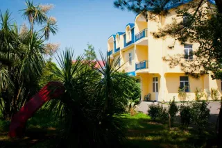 სასტუმრო პალმა