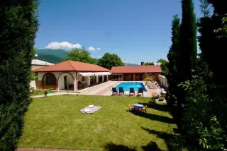 პავლონია ვილა ყვარელი