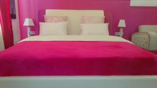 ვარდისფერი ბინა აეროპორტთან ახლოს