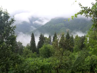 რანჩო საქართველოში