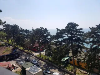 დამშვიდდი