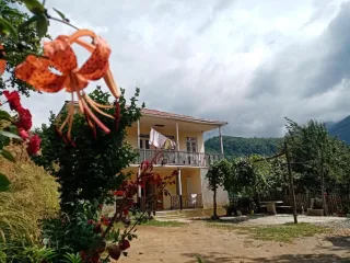 როლანდის სახლი