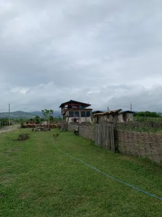 რუისპირი ბიოდინამიკური ვენახი