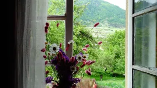 საბა და ლიზი