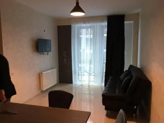 ბინა ბაკურიანი