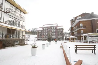 ბინა ხედით