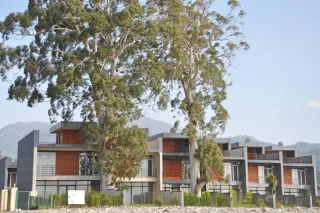 ზღვისპირა კოტეჯები