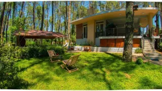 შეკვეთილი დიდი საოცრება