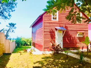 შეკვეთილის ჰორიზონტი