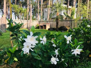 შეკვეთილის ვერცხლის ქვიშების სანაპირო სახლი