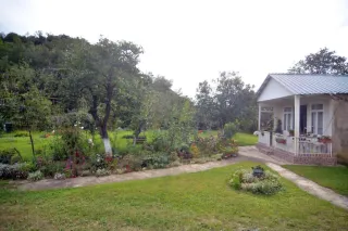 შემოქმედი