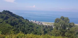 სოფი ბინა გონიო