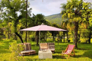 ვარსკვლავი