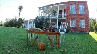 სურმავას სასახლე