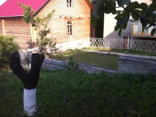 თბილისის ზღვის კერძო სახლი