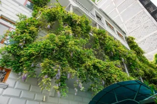 თბილოტელი