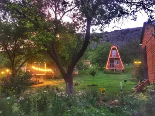 თეოს აგარაკები