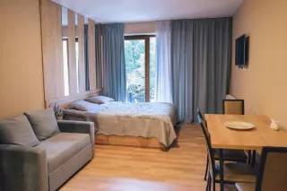 ველი ბაკურიანის მთაზე