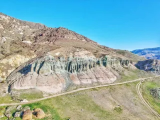 ტირების მეურნეობა