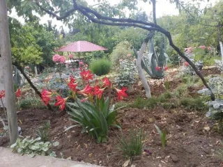 ცივი ტბა