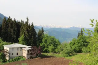 ტვალიაკარი