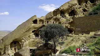 უდაბნო ნაილი