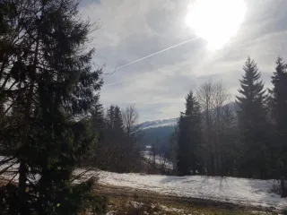 ბინა ბაკურიანში