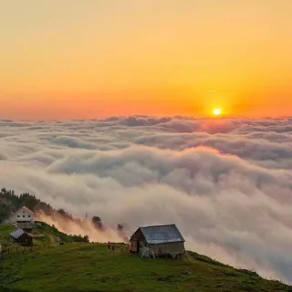 ვილა დომ