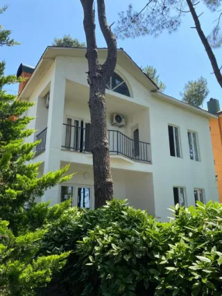 ვილა ბუქსუს შეკვეთილი