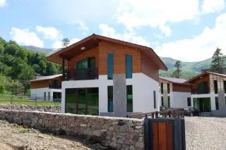 ვილა დიდველი