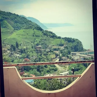 ვილა საარპი