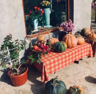 კეთილი იყოს თქვენი მობრძანება Tatosia's GardenHouse– ში