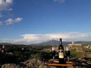 ღვინის ბაღი რაბათი