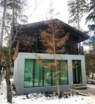 ვუდსადი ბაკურიანი