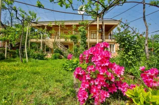 ზაალის ღვინის მარანი